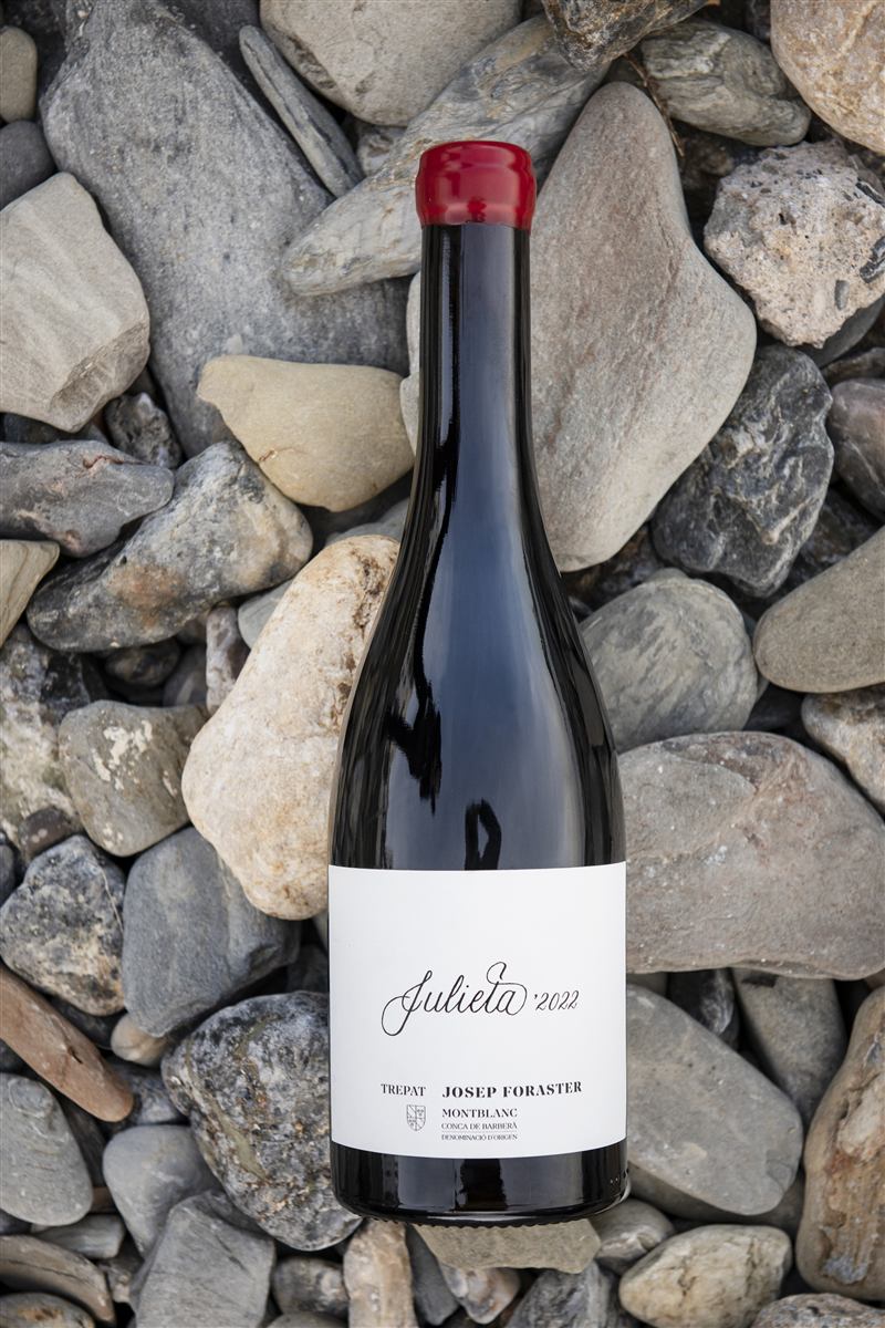 Julieta 2022 — Trepat